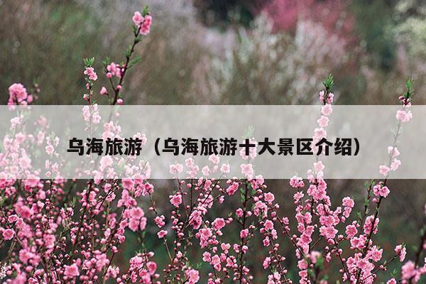 乌海旅游（乌海旅游十大景区介绍）