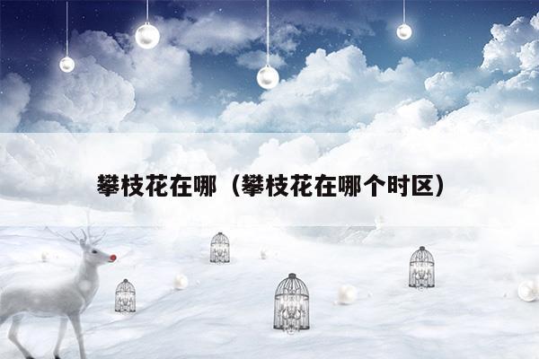 攀枝花在哪（攀枝花在哪个时区）
